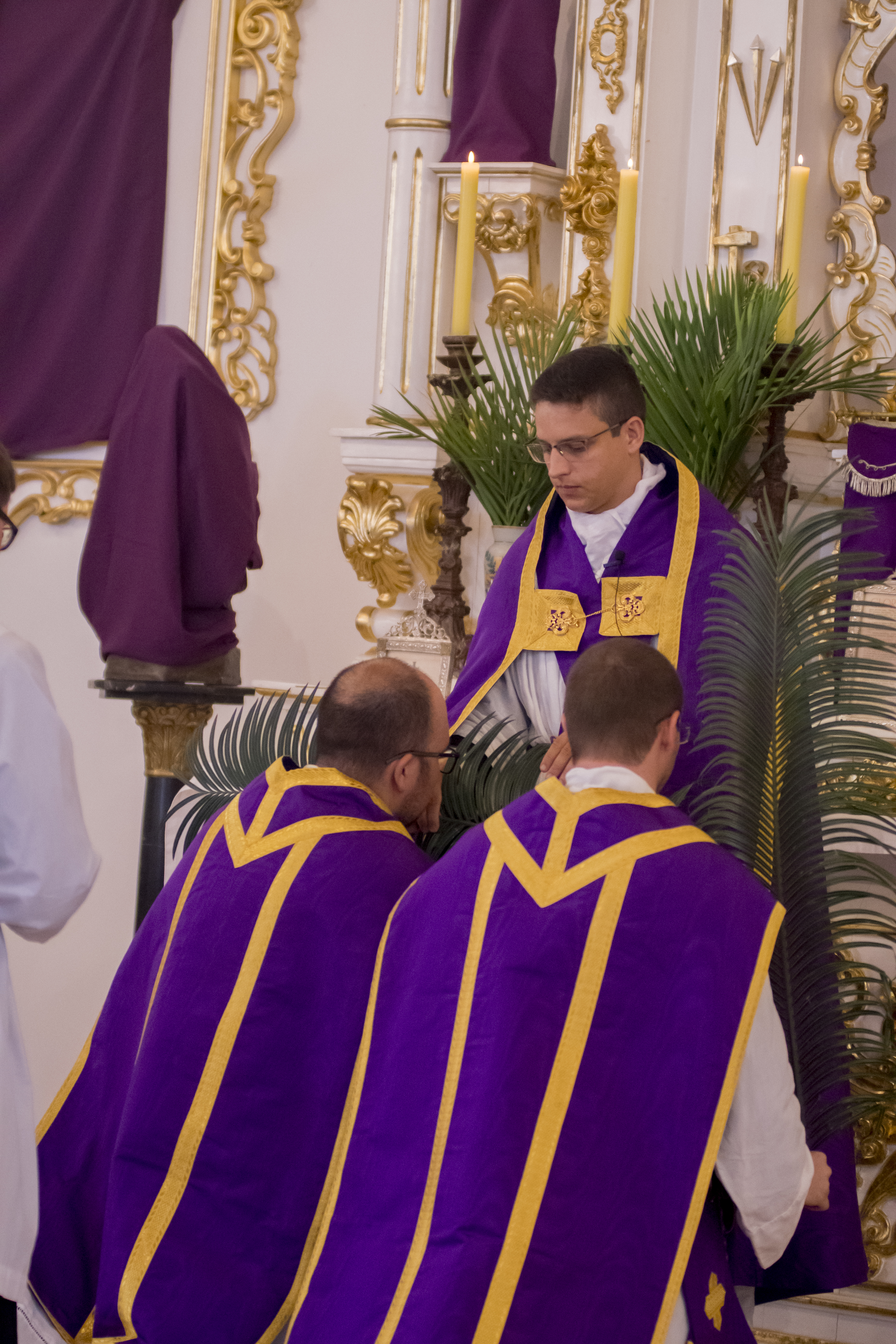[Artigo] Domingo de Ramos: o ingresso da Igreja na Semana Maior